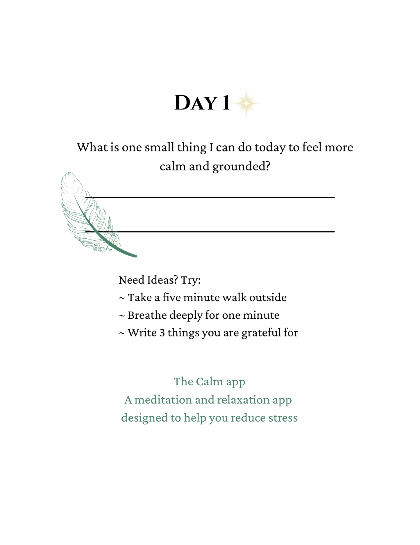 Calm & Clarity: 30 Day Address Your Stress Journal (Digital Download)